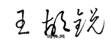 駱恆光王胡銳草書個性簽名怎么寫