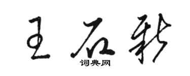 駱恆光王石新草書個性簽名怎么寫