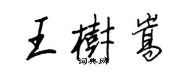 王正良王樹嵩行書個性簽名怎么寫