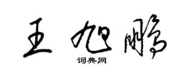 梁錦英王旭鵬草書個性簽名怎么寫