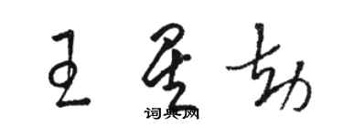 駱恆光王星劫草書個性簽名怎么寫