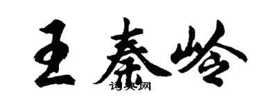 胡問遂王秦嶺行書個性簽名怎么寫