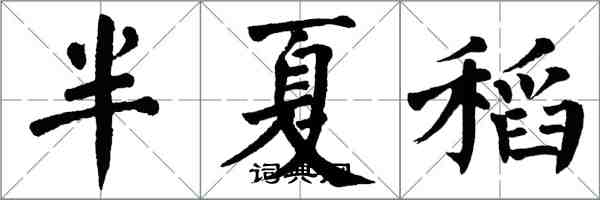 翁闓運半夏稻楷書怎么寫