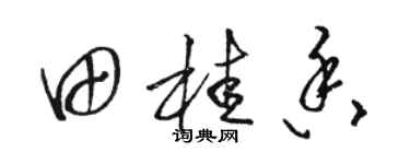 駱恆光田桂香草書個性簽名怎么寫
