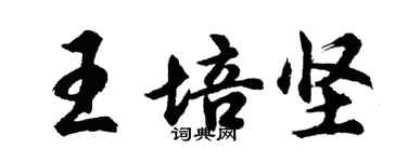 胡問遂王培堅行書個性簽名怎么寫