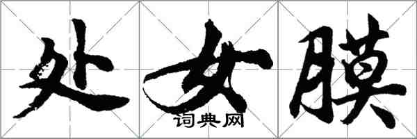 胡問遂處女膜行書怎么寫