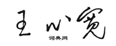 駱恆光王心寬草書個性簽名怎么寫