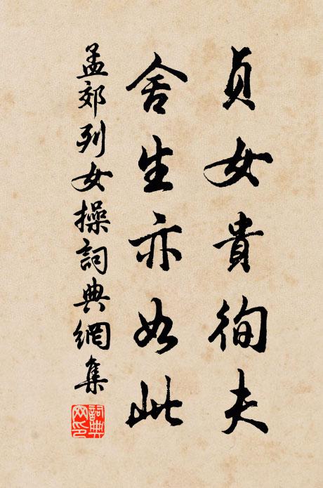 孟郊貞女貴徇夫,捨生亦如此。書法作品欣賞