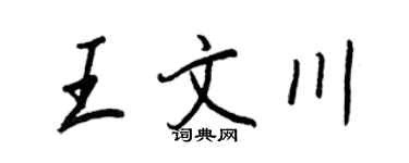 王正良王文川行書個性簽名怎么寫