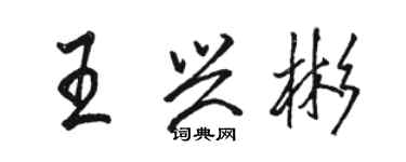 駱恆光王興彬行書個性簽名怎么寫