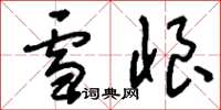 劉少英雪恨草書怎么寫