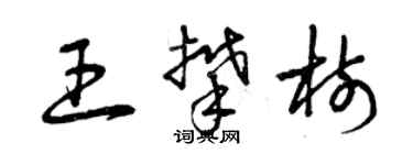 曾慶福王攀樹草書個性簽名怎么寫