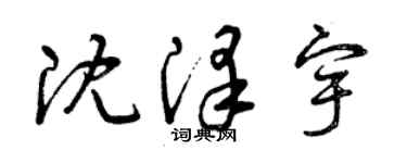 曾慶福沈澤宇草書個性簽名怎么寫