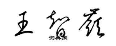 梁錦英王智嶺草書個性簽名怎么寫