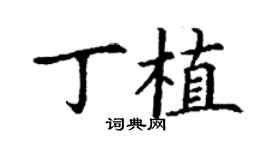 丁謙丁植楷書個性簽名怎么寫