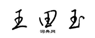 梁錦英王田玉草書個性簽名怎么寫