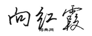 駱恆光向紅霞行書個性簽名怎么寫