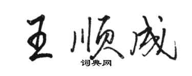 駱恆光王順成行書個性簽名怎么寫