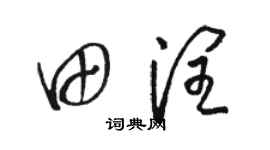 駱恆光田潤草書個性簽名怎么寫