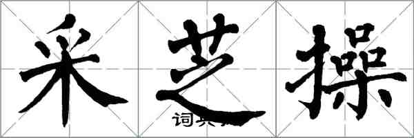 翁闓運采芝操楷書怎么寫