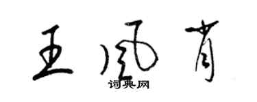 梁錦英王風肖草書個性簽名怎么寫