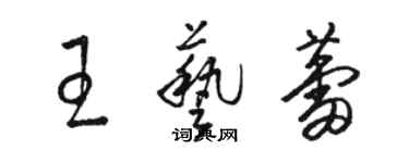 駱恆光王藝蕾草書個性簽名怎么寫