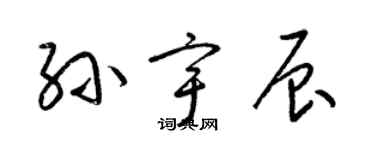 梁錦英孫宇辰草書個性簽名怎么寫