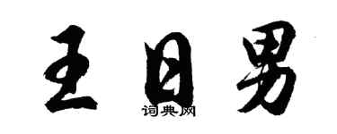胡問遂王日男行書個性簽名怎么寫