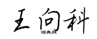 王正良王向科行書個性簽名怎么寫