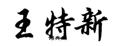 胡問遂王特新行書個性簽名怎么寫