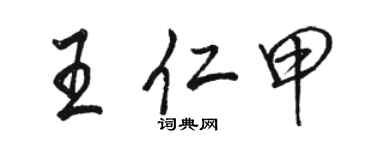 駱恆光王仁甲行書個性簽名怎么寫
