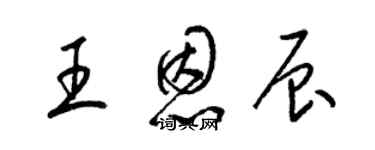 梁錦英王恩辰草書個性簽名怎么寫