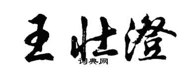 胡問遂王壯澄行書個性簽名怎么寫