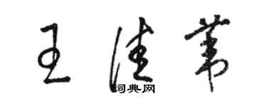 駱恆光王佳葦草書個性簽名怎么寫