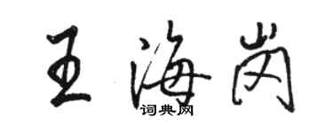 駱恆光王海崗行書個性簽名怎么寫