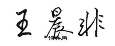 駱恆光王晨非行書個性簽名怎么寫