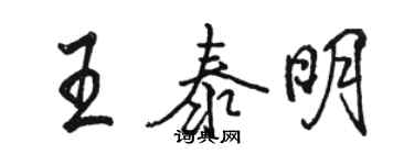 駱恆光王泰明行書個性簽名怎么寫