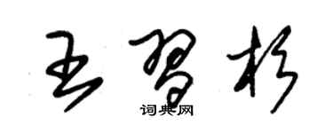 朱錫榮王習杉草書個性簽名怎么寫