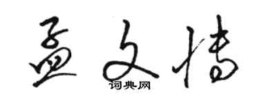 駱恆光孟文博草書個性簽名怎么寫