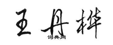 駱恆光王丹樺行書個性簽名怎么寫