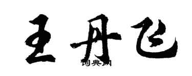 胡問遂王丹飛行書個性簽名怎么寫