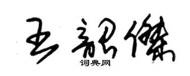 朱錫榮王韶傑草書個性簽名怎么寫