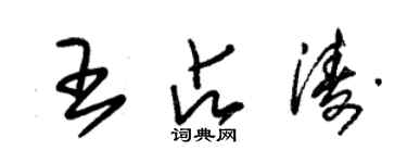 朱錫榮王占濤草書個性簽名怎么寫