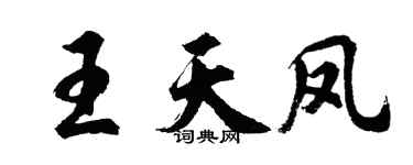 胡問遂王天鳳行書個性簽名怎么寫