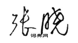 駱恆光張曉草書個性簽名怎么寫