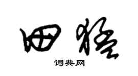 朱錫榮田猛草書個性簽名怎么寫