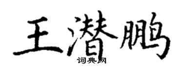 丁謙王潛鵬楷書個性簽名怎么寫