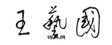 駱恆光王藝國草書個性簽名怎么寫