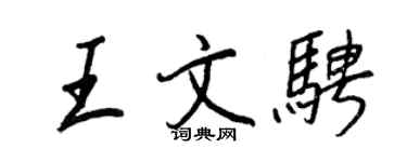 王正良王文騁行書個性簽名怎么寫