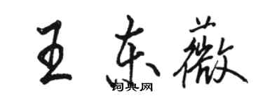 駱恆光王東薇行書個性簽名怎么寫